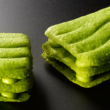 Tokyo Campanella Matcha